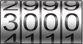 3000